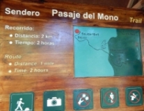 Imagen Sendero Pasaje del Mono